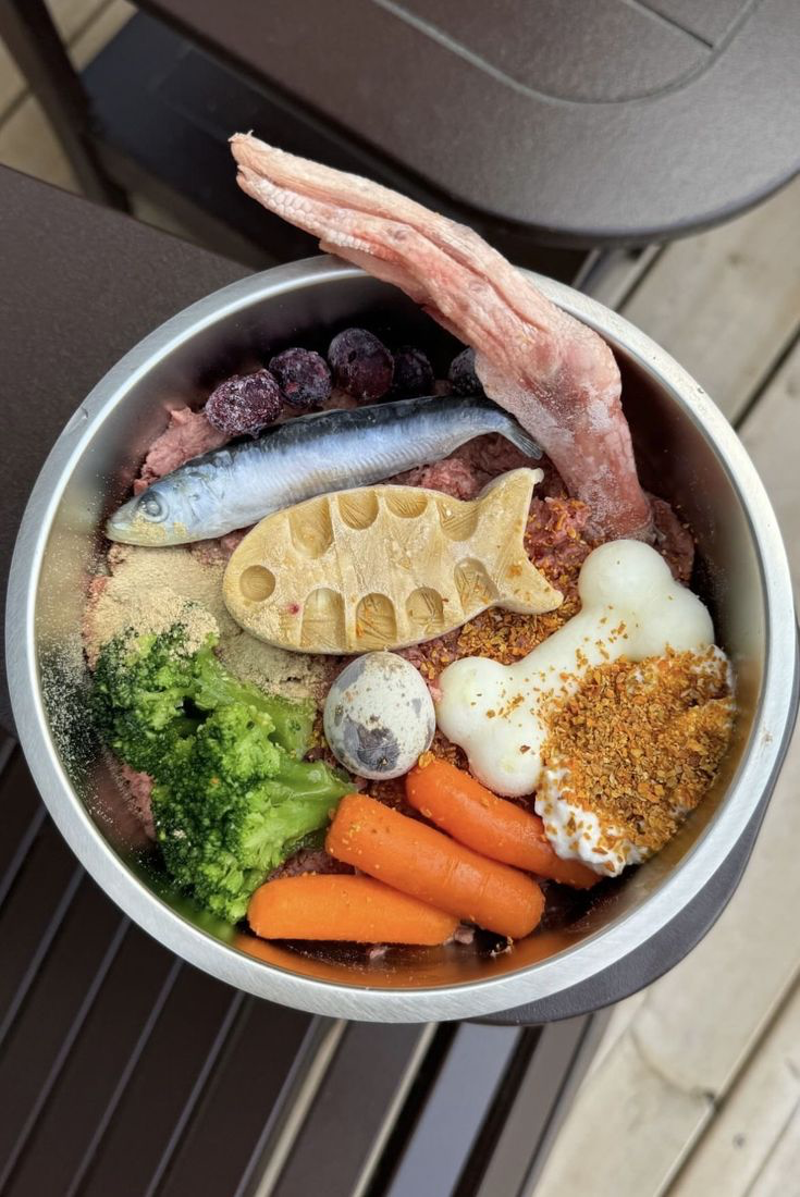 A bowl of fresh prepared dog food with vegetables and fish